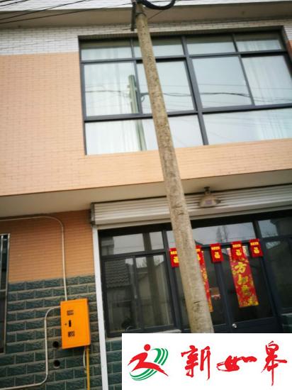 南通如皋惠民小区违章蔓延，村干部带头违建-雉水网