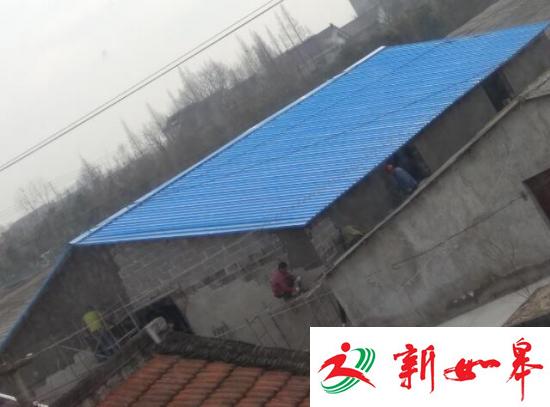 如皋如城镇一猪棚污染环境严重，为何还能扩建-雉水网