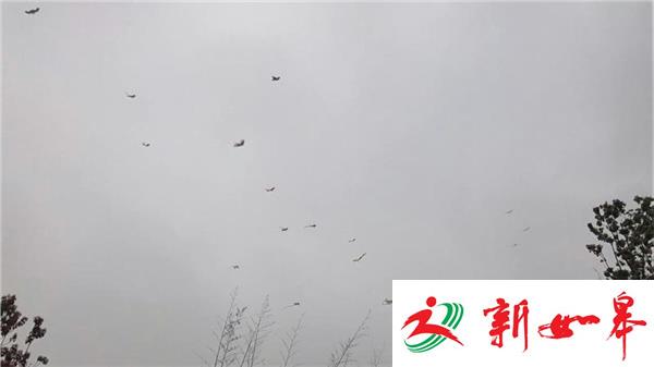 南京六合举办千人风筝城市涂鸦生态文化节-雉水网