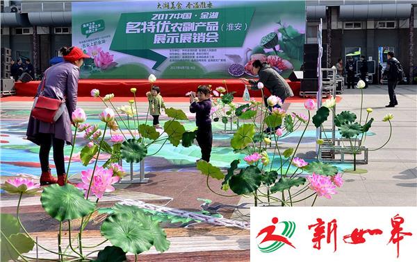 2017金湖名优农展会精彩启幕-雉水网