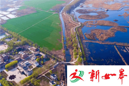 雄县青年的心路历程：兜转10多年最后漂回雄安-雉水网