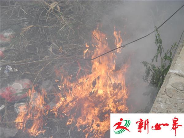焚烧纸钱惹祸  芦竹火烧连营-雉水网