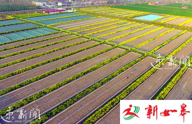 沭阳钱集：丰富美鹅“名片” 打造“三园”特色-雉水网