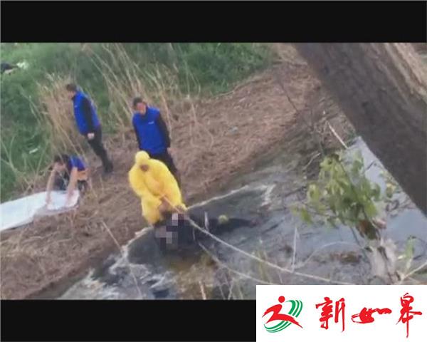 老人鱼塘溺水身亡 网友找到其家人-雉水网