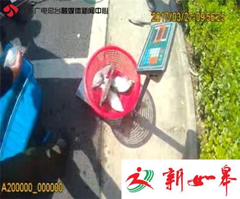 男子在长江里电捕鱼被抓 自称供全家人食用-雉水网