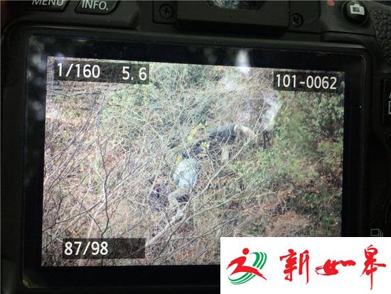 张家界一游客不慎从栅道坠落 被困在半山腰