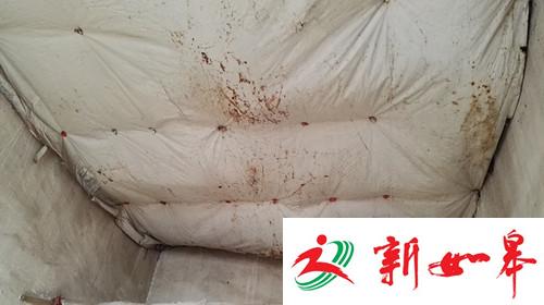 湖北18人遇难车祸幸存者:每天4点起床进城打工