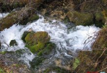 如城实验小学三(合) 鞠语瞳 泥沟里的发现-雉水网