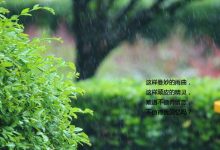 如皋师范附属小学五（6）班，江苏如皋法华寺慈心社志工  高雅  春雨-雉水网