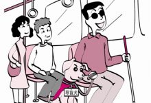 如皋市如城实验小学  六（6）班 王潇潇  发现-雉水网