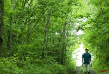 如城实验小学四(和)班 袁博乐  人与自然-雉水网