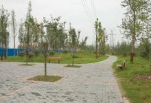 龙游河晨练-雉水网