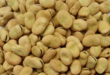 如城实验小学四（勤）班  朱宇轩  止泻秘方-雉水网