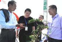 “华夏杯”首届中国盆景艺术家协会（江苏）盆景艺术联展在如皋磨头举办-雉水网