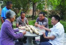 如城街道新民社区 赠送莲藕敬老人-雉水网