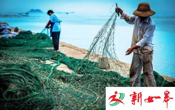 【周末去哪玩】离南京最近最好玩的海岛全攻略