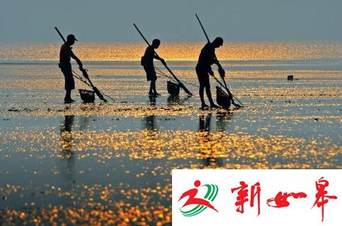 【周末去哪玩】离南京最近最好玩的海岛全攻略