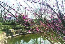 不负春光，不负景-雉水网