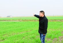 农田里书写精彩人生-雉水网