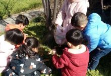 如城新民幼儿园：学习雷锋从娃娃做起-雉水网