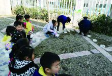 播种快乐 收获希望-雉水网