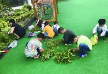 收花生喽-雉水网