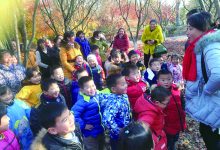 如城街道建设幼儿园开展 “浓浓枫叶情·快乐万禾游”亲子活动-雉水网