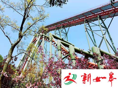 有趣又刺激的翻滚之旅 和过山车来场奇妙约会