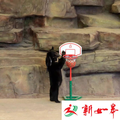 清明踏青去哪玩？常州淹城动物园