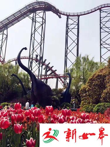 有趣又刺激的翻滚之旅 和过山车来场奇妙约会