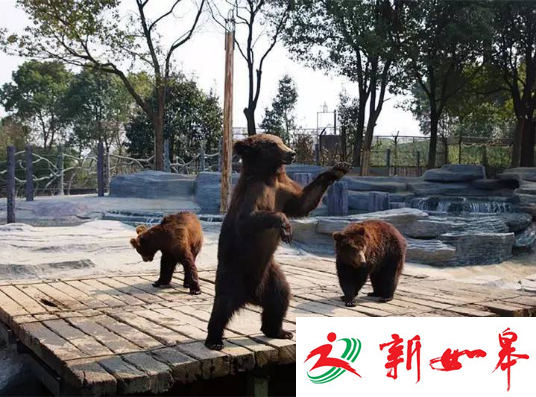 清明踏青去哪玩？常州淹城动物园