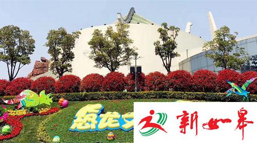 有趣又刺激的翻滚之旅 和过山车来场奇妙约会