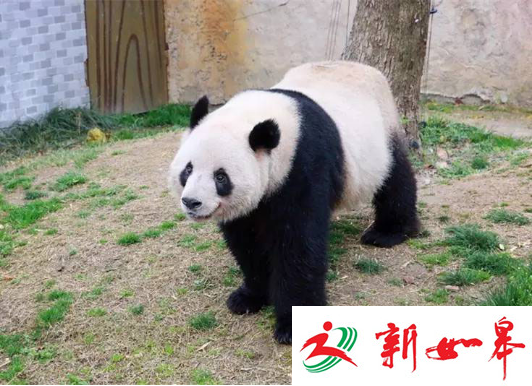 清明踏青去哪玩？常州淹城动物园