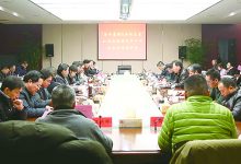 携手赛麟 共话未来 如皋新能源汽车产业校企合作座谈会成功举办-雉水网