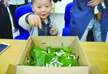 如皋市图书馆成功开展蚕宝宝领养少儿科普活动-雉水网