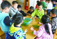 快乐种植 收获幸福-雉水网