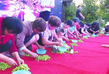 如城街道十里社区开展“我讲诚信”暨第三届全民艺术文化节活动-雉水网