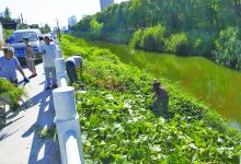 如城街道许庄社区推进村居环境整治及改厕工作-雉水网