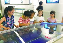 如城街道西郊社区开展“七彩的夏日”活动-雉水网