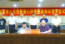 人大代表为人民 一枝一叶总关情 如皋设立百万“人大代表爱心扶贫基金”-雉水网
