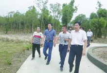 如城街道龙游河村规模农业项目现场观摩会正式启动-雉水网