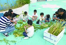 开发区何庄幼儿园金秋九月庆丰收 颗颗芝麻展笑脸-雉水网