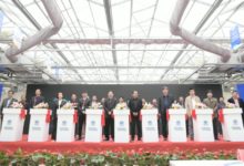 2019全国小微盆景展暨中国•如皋盆景交易大会在如皋举办-雉水网