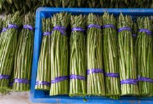 求助!如皋野林村自主创业大学生受挫,因疫情230亩专供出口芦笋面临滞销!-雉水网
