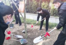 我为法院添绿，法院助我成长-雉水网