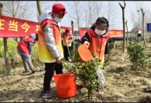如城街道沿河村志愿者植树活动-雉水网