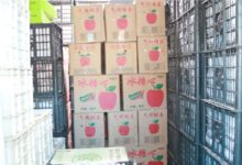 求助！5万余斤苹果因疫情滞销，期盼如皋爱心人士伸出援手！-雉水网