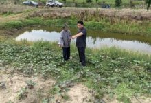 代种土地被流转，原户主：我想要回这块地……-雉水网