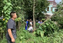 审执结合,款物两清，多年邻里恩怨一笔勾销-雉水网