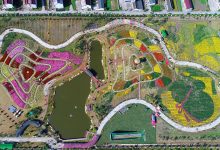 菊醉金秋季 韵美水竹园 ——2020年如皋市首届菊花节盛大开幕-雉水网